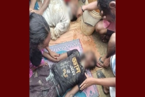 হবিগঞ্জে জমিতে কাজ করার সময় বিদ্যুৎস্পৃষ্টে দুই ভাইয়ের মৃত্যু
