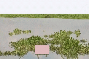 দিরাইয়ে নদী থেকে নারীর মরদেহ উদ্ধার