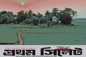 সবুজ বিপ্লবের পথে যাত্রা সুনামগঞ্জ জেলা প্রশাসনের