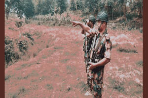 মৌলভীবাজারে গরু ও চামড়া পাচার রোধে  প্রস্তুত বিজিবি