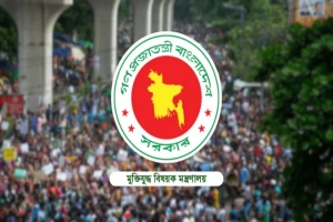 সিলেট বিভাগের ২৬ ‘ভুয়া’ জুলাই যোদ্ধার গেজেট বাতিল