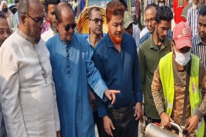সিসিকের মশক নিধন অভিযান শুরু