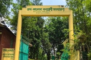 হবিগঞ্জের রেমা কালেঙ্গা বনে গোলাগুলি: ৫০ জনকে আসামি করে মামলা