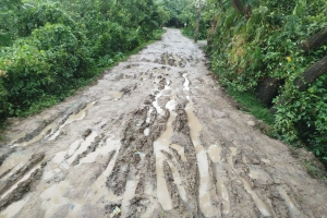 দোয়ারাবাজারের শরীফপুরে কাঁচা ও ভাঙাচোরা সড়কে চরম জনদুর্ভোগ