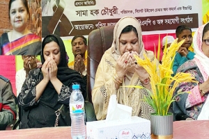 সামা’র হাত ধরে সিলেট সীমান্তে ধানের শীষের জোয়ার