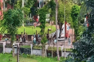 প্রেমিকাকে কটূক্তির জেরে রণক্ষেত্র বাকৃবি, আহত ১৩