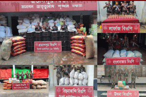 সিলেট সীমান্তে ৩৭ লাখ টাকার চোরাচালানী মালামাল আটক