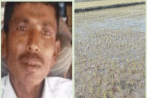 দোয়ারাবাজারে স্ট্যাম্পে বেচাকেনা সরকারি জমি! বন্দোবস্তের আগেই দখলের মহোৎসব