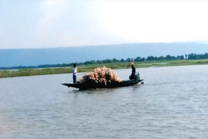 টাঙ্গুয়ার হাওরে প্লাস্টিক চাঁইয়ের অবাধ ব্যবহার: হুমকিতে মৎস্য সম্পদ