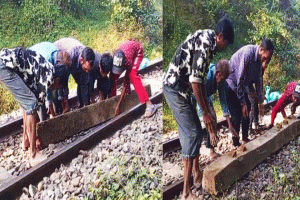 লাউয়াছড়ায় রেললাইনে স্লিপার ফেলে ট্রেন দুর্ঘটনার চেষ্টা