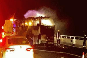 মক্কা-মদিনা রুটে ভয়াবহ বাস দুর্ঘটনা, নিহত অন্তত ৪২