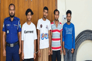 বড়লেখায় চুরি হওয়া ৪০০ মিটার বৈদ্যুতিক তার উদ্ধার, গ্রেপ্তার ৪