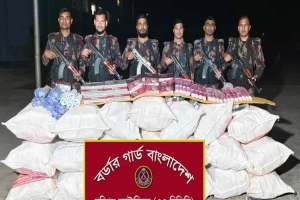 হবিগঞ্জ সীমান্তে বিজিবির অভিযানে ৬২ লাখ টাকার ভারতীয় পণ্য জব্দ