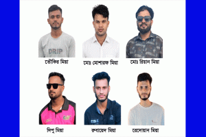 শাল্লায় ৬ জন গেজেটেড জুলাই যোদ্ধা, ভাতা পাচ্ছেন প্রতি মাসে