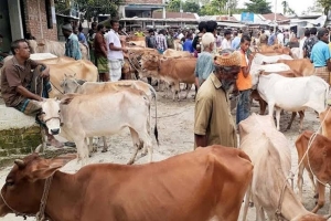 পাঁচ দশক পর কাজির বাজার পশুর হাটের মালিকানা পরিবর্তন