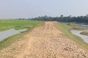 শান্তিগঞ্জে ফসল রক্ষা বাঁধে ধীরগতি; কৃষকের চোখে অন্ধকার