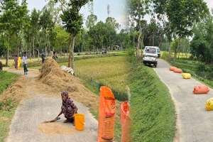 হবিগঞ্জের সড়কে ধান-খড়ের ‘উঠান’, বিপাকে পথচারীরা