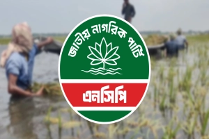 হাওরের সংকট নিরসনে জরুরি রাষ্ট্রীয় হস্তক্ষেপের দাবি জাতীয় নাগরিক পার্টির