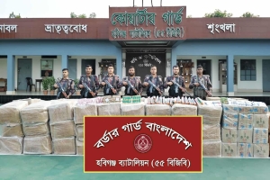 মাধবপুরে বিজিবির অভিযানে ৭৪ লাখ টাকার ভারতীয় জিরা ও কসমেটিকস জব্দ