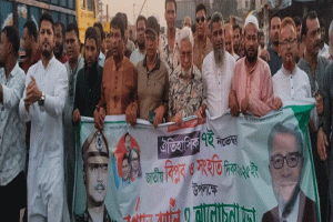 মাধবপুরে নানা আয়োজনে জাতীয় বিপ্লব ও সংহতি দিবস পালিত