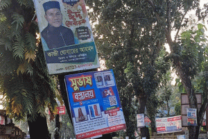 বিজ্ঞাপনের পেরেকবিদ্ধ কমলগঞ্জের গাছপালা: হুমকিতে সবুজ প্রকৃতি ও পরিবেশ