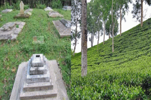 সিলেটের চা-শিল্পের ইতিহাস জানান দেয় কুলাউড়ার লংলা সিমেট্রি