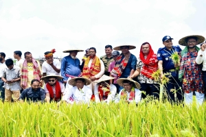 তাহিরপুরে নানা আয়োজনে নববর্ষ উদযাপন
