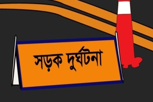 নবীগঞ্জে পিকআপের ধাক্কায় সিএনজি চালক নিহত