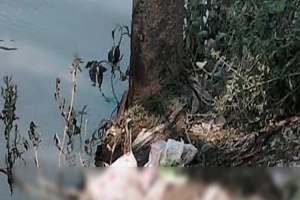 হবিগঞ্জে খোয়াই ব্রিজে টমটমের ধাক্কা, নিচে পড়ে নারীর মৃত্যু