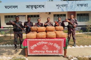 মাধবপুরে বিজিবি'র অভিযানে ৭৩ কেজি গাঁজা উদ্ধার
