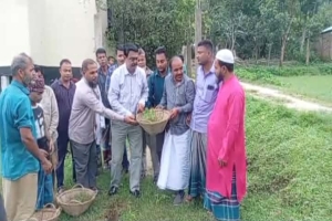 ছাতকে গ্রামীণ সড়কের মাটি ভরাট কাজের উদ্বোধন করলেন এমপি মিলন