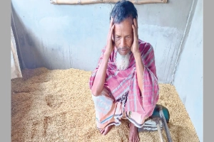 বৃষ্টির তোড়ে ধুলিসাৎ লাখাইয়ের কৃষকের স্বপ্ন