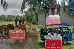 সিলেটের দুটি সীমান্ত থেকে ৫৬ লাখ টাকার সিগারেট, গরু ও চা-পাতা জব্দ