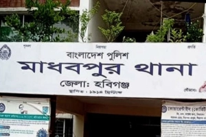 মাধবপুরে পূর্ব শত্রুতার জেরে পুকুরে বিষ প্রয়োগে ২৫ লক্ষ টাকার মাছ নিধন