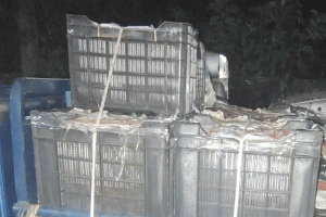 নগরীতে পুলিশের অভিযানে ভারতীয় টমেটোসহ আটক ২