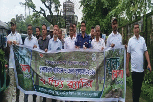 সুনামগঞ্জে বৃক্ষমেলা শুরু: গুরুত্ব পাচ্ছে চারা রোপণ ও গাছ বাঁচিয়ে রাখার বার্তা