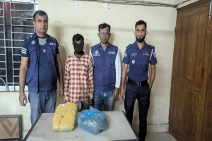 বড়লেখায় দুই কেজি গাঁজাসহ একজন আটক