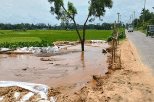 শায়েস্তাগঞ্জে সড়কের পাশে অবৈধ বালুর ডিপো, দুর্ঘটনার শঙ্কা