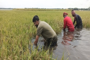 টানা বৃষ্টি ও ঢলের আশঙ্কায় সুনামগঞ্জে বাড়ছে নদীর পানি