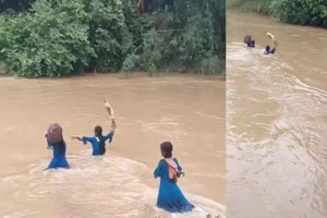 মধ্যনগরে নদী সাঁতরে স্কুলে যায় শতাধিক শিশু: ঝুঁকি নিয়ে চলছে পাঠদান