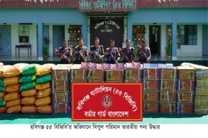 হবিগঞ্জে বিজিবি’র অভিযানে ৭৪ লাখ টাকার পন্য উদ্ধার