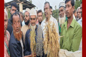 সুনামগঞ্জ-৪ আসনে নূরুলের সভায় মোটরসাইকেলের ঢল