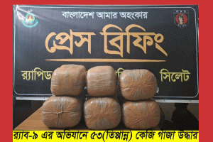 মাধবপুরে ৫৩ কেজি গাঁজাসহ দুই মাদক ব্যবসায়ী আটক