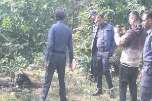 হবিগঞ্জে আগুনে পুড়ে নারীর মৃত্যু, দুই বছরেও পরিচয় মেলেনি