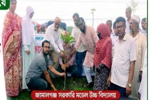জামালগঞ্জ উপজেলার মাধ্যমিক বিদ্যালয়গুলোতে বৃক্ষরোপন কর্মসূচি
