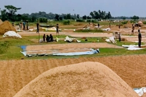 শাল্লায় হাওরের ত্রাণে স্বজনপ্রীতি, বাদ পড়েনি প্রবাসী ও মৃত ব্যক্তি