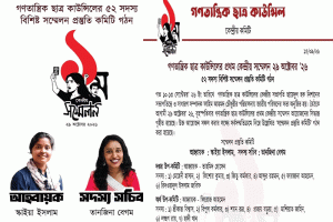 গণতান্ত্রিক ছাত্র কাউন্সিলের প্রথম কেন্দ্রীয় সম্মেলন ২৯ অক্টোবর