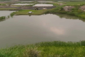 লাফার্জ হোলসিমের মাটি সংগ্রহে ফসলি জমি জলাশয়