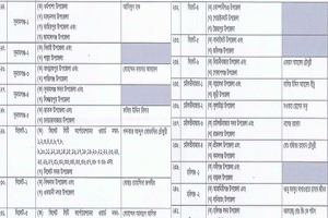 সিলেটের ১৯ আসনে ১৩ জন পেলেন বিএনপির মনোনয়ন