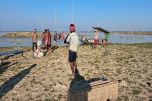 ধর্মপাশায় সরকারি জলমহাল থেকে লাখ লাখ টাকার মাছ লুট
